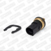 Sensor de Temperatura de Refrigerante (Cts) Volkswagen Golf 99-06 Jetta 99-10 Beetle 98-13 Passat 98-06