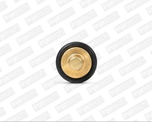 Sensor de Temperatura de Refrigerante (Cts) Volkswagen Golf 99-06 Jetta 99-10 Beetle 98-13 Passat 98-06
