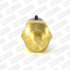 Sensor de Temperatura de Refrigerante (Cts) Chevrolet Lumina 95-01 S10 94-97 Venture 97-99 Kodiak 91-98