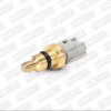 Sensor de Temperatura de Refrigerante (Cts) Ford Ka 01-08 Ikon  01-07 Courier 01-12