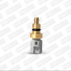 Sensor de Temperatura de Refrigerante (Cts) Ford Ka 01-08 Ikon  01-07 Courier 01-12